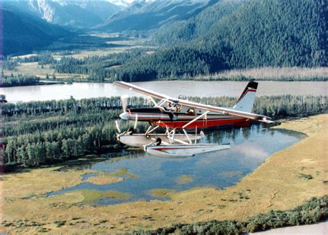 Free picture: flying, aircraft, swamp