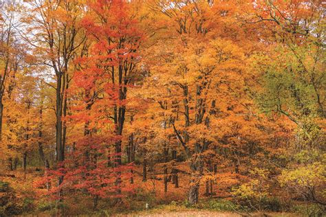 Our 7 Favorite Fall Foliage Hikes – VT SKI + RIDE