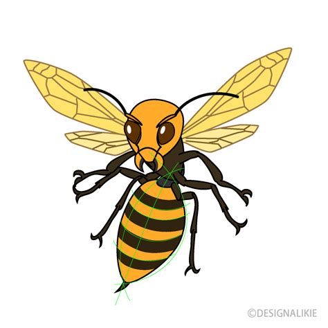 Aggressive Wasp Clipart Free PNG Image｜Illustoon