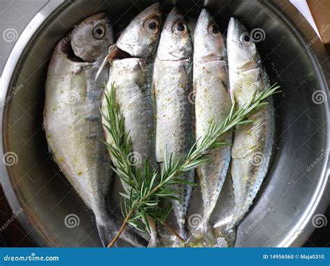 Fish in the marinade stock photo. Image of marinade, bowl - 14956560