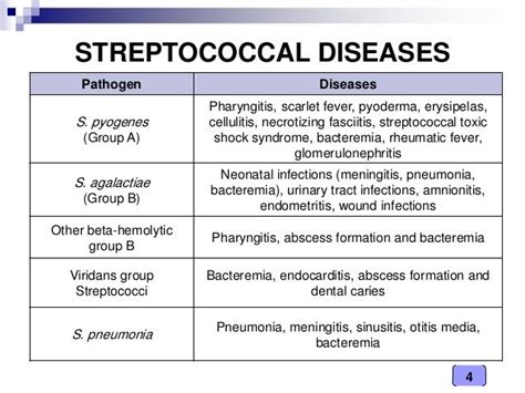 Medical Microbiology Laboratory (streptococcus spp.)