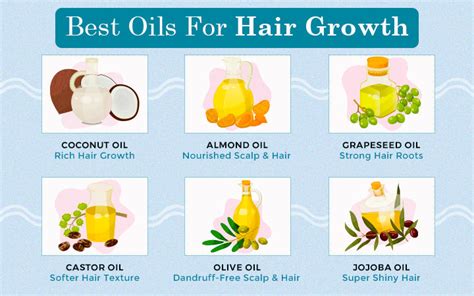 Top 155 + Olive oil hair growth recipe - polarrunningexpeditions