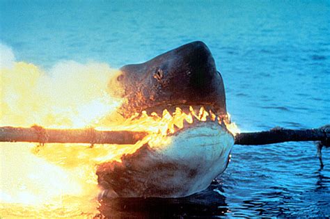 Is Jaws (1975) The Ultimate Shark Movie? • The Daily Fandom