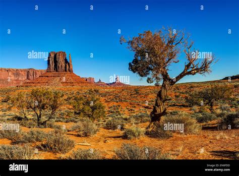 monument valley, navajo nation, az Stock Photo - Alamy