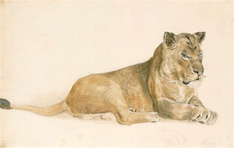 Museum Art Reproductions A lioness by John Frederick Lewis (1804-1876, United Kingdom ...