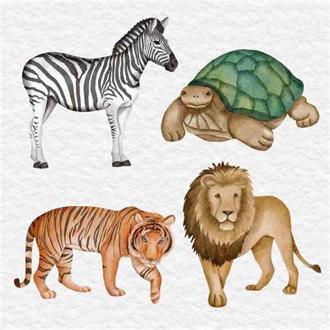 Premium Vector | Watercolor wildlife collection illustration