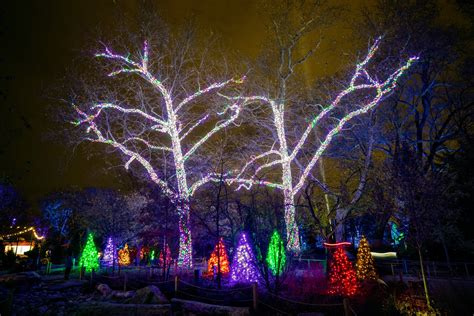 Philadelphia Zoo lights up a million holiday lights for the dazzling return of LumiNature ...