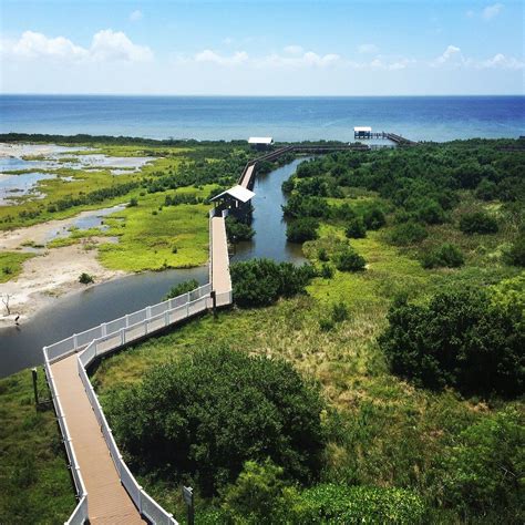 South Padre Island Birding and Nature Center - All You Need to Know BEFORE You Go in 2022 ...