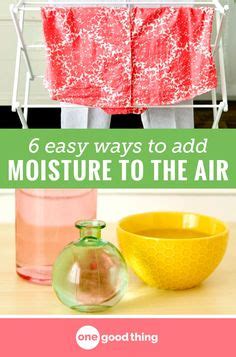 140 Humidifier Guide ideas in 2022 | humidifier, homemade humidifier ...