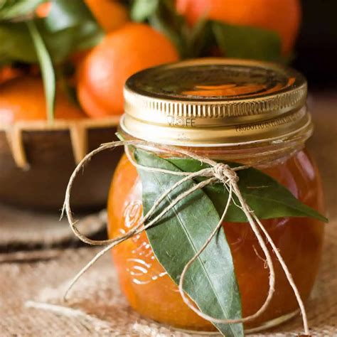 12 Easy Marmalade Recipes that Go Beyond Orange – Snappy Living