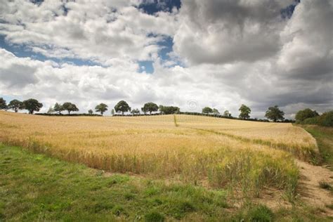 Countryside of Oxfordshire England Stock Image - Image of landscape, meadow: 194890261