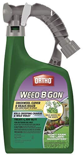 Best ortho broadleaf weed killer - Best of Review Geeks