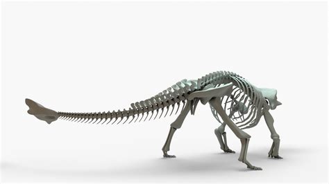 3D Ankylosaurus Rigged Skeleton model - TurboSquid 2131467