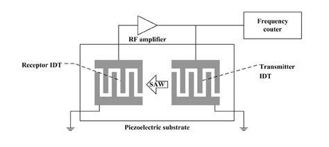 Configuration of surface acoustic wave sensor device. | Download Scientific Diagram