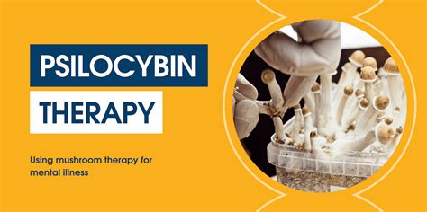 Understanding Psilocybin Therapy and Mushroom Therapy