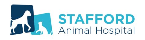 Veterinary in Stafford, VA | Stafford Animal Hospital