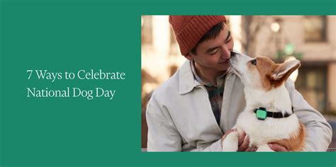 7 Ways to Celebrate National Dog Day - Whistle