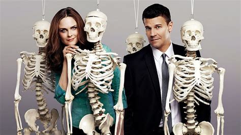 TV Show Bones Emily Deschanel Temperance Brennan David Boreanaz, New TV Series Bones HD ...