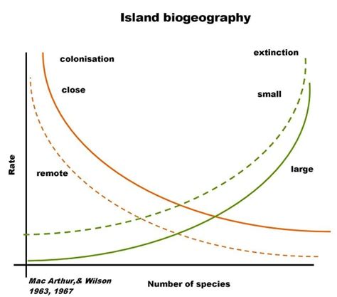 Henry's Home: Island Biogeography