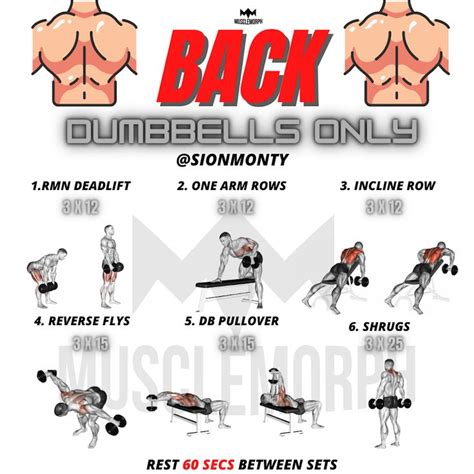 Back workout dumbbell only in 2021 | Dumbbell back workout, Dumbbell workout plan, Workout plan gym