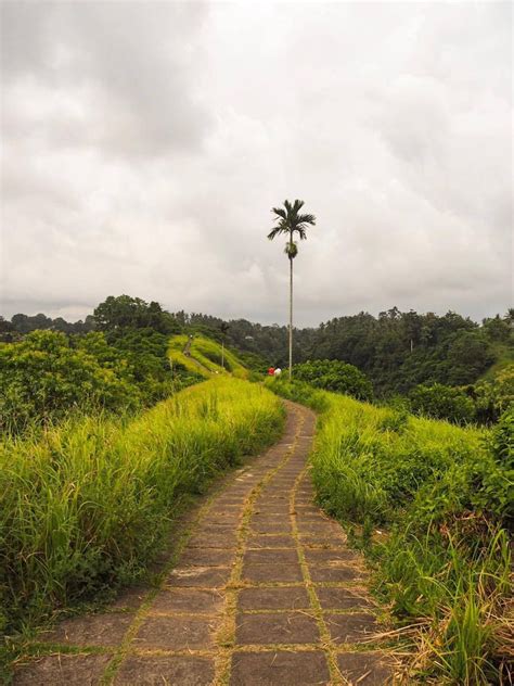 Campuhan Ridge Walk | Ubud, Bali, Country roads