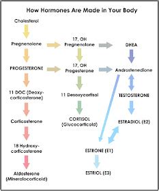 Link Between Low DHEA Levels and Cardiovascular Disease