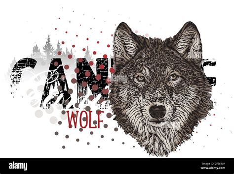 wolf banner vector illustration Stock Vector Image & Art - Alamy