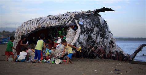 Deadwhale Campaign Greenpeace - Branding in Asia