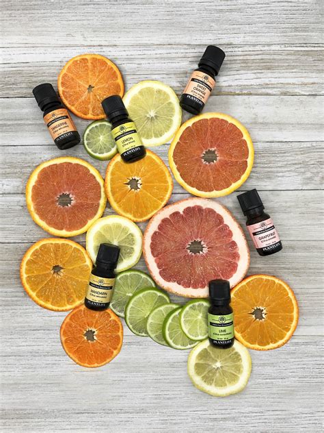 Top Citrus Oils To Try In 2019!