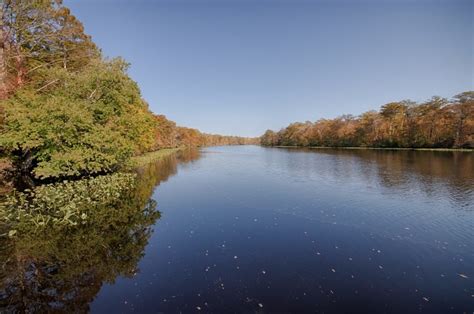 Pocomoke River State Park: Shad Landing or Milburn Landing? | Shorebread