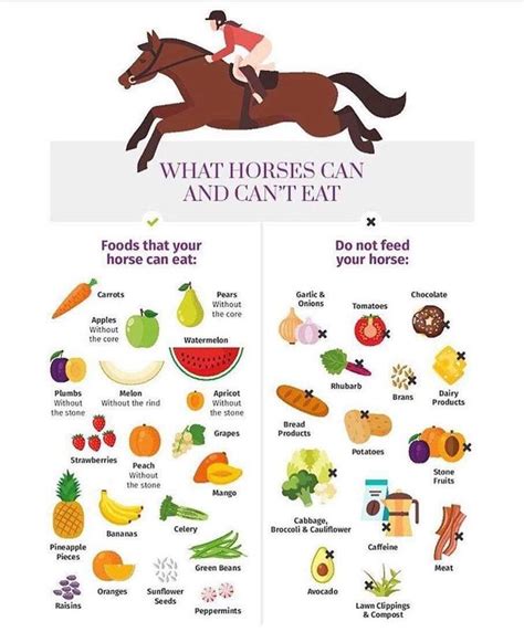 Pin by Julia St.Michel on Imperial Academy Resources | Healthy horses ...