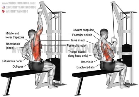 52 best Back Exercises images on Pinterest | Work outs, Gym and Weights