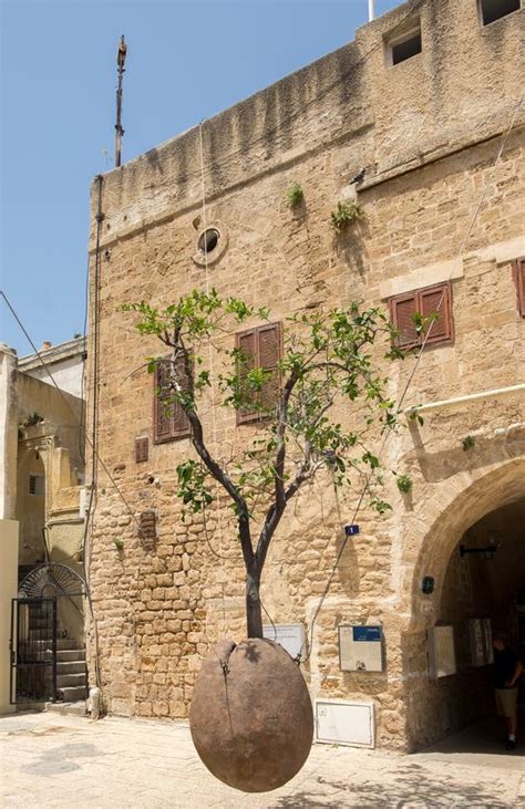 Famous Levitated Orange Tree in Old Jaffa Stock Photo - Image of history, city: 140270530