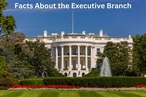 15 Facts About the Executive Branch - Have Fun With History