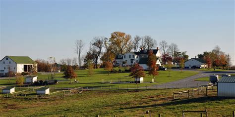 Green Meadows Petting Farm | Urbana, Dallas, TX,