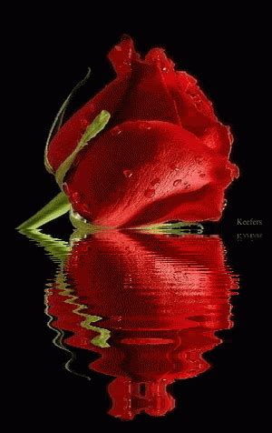 beautiful animated rose - Clip Art Library