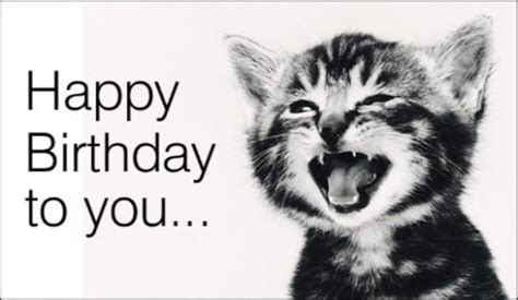 Free Singing Cat eCard - eMail Free Personalized Birthday Cards Online