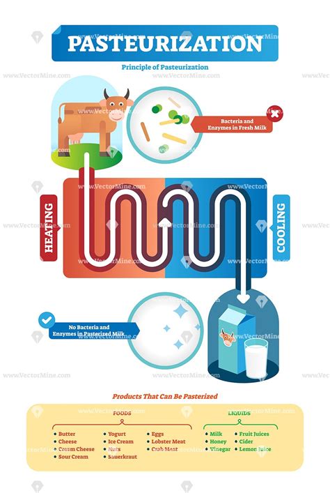 Pasteurization vector illustration diagram Food Spoilage, Louis Pasteur ...