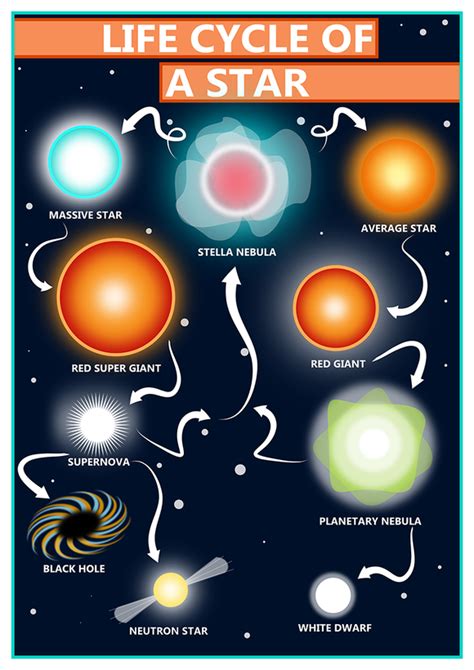 GCSE Science Life Cycle of a Star Educational A2 Poster – Tiger Moon