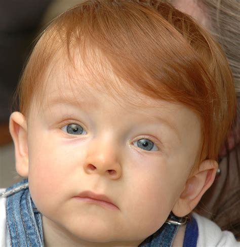 File:Redheaded child mesmerized 2.jpg - Wikimedia Commons