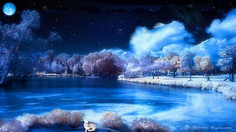 Free download Desktop Themes Starry Winters Night Widescreen Wallpaper [1366x768] for your ...