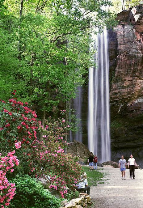 Toccoa Falls - Georgia Waterfalls