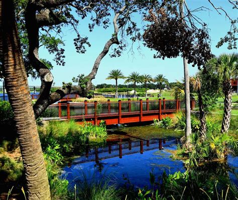 Ulele Spring At Water Works Park (Tampa) | Tampa water, Family photoshoot, Engagement photos