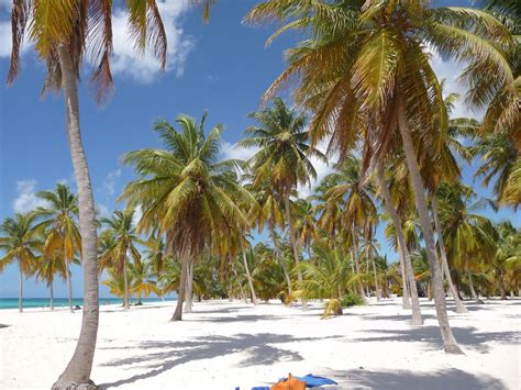 Bayahibe, Dominican Republic: All You Need to Know Before You Go (2024) - Tripadvisor