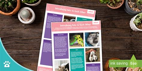 Introducing Pets to Each Other - Information Sheet - Pets