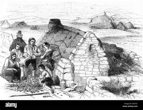 IRISH POTATO FAMINE A destitute family engraving from The Pictorial ...