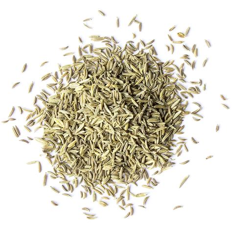 Fennel Seeds Buy in Bulk from Food to Live