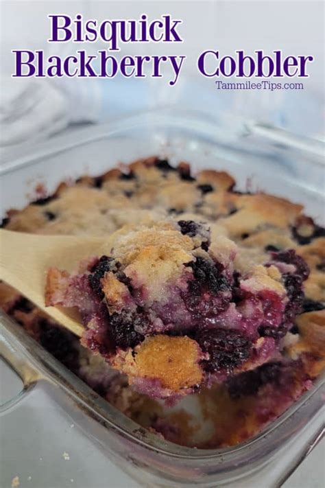 Bisquick Blackberry Cobbler - Tammilee Tips