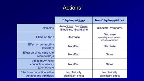 Dihydropyridine Vs Nondihydropyridine - Dihydropyridines effect on Ca ...