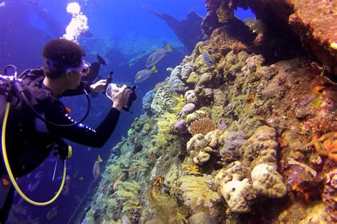 Snorkelling In Seychelles - 10 Best Spots, Operators - Holidify